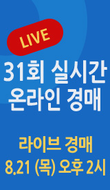 화동옥션