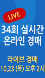 화동옥션