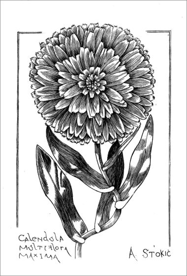 상품